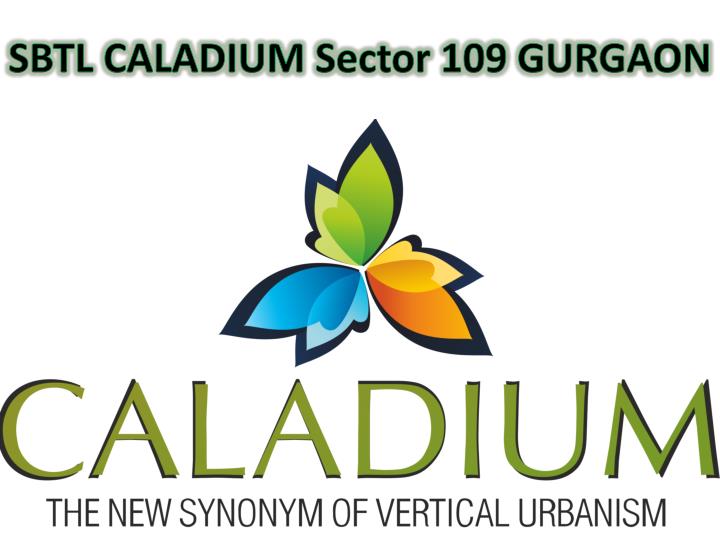 SBTL - Caladium